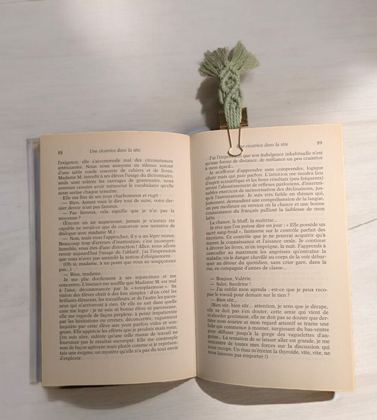 Marque-page pince